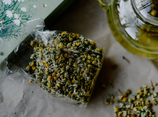 Chamomile Uses and Benefits