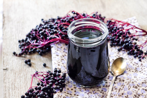 Elderberry Uses and Benefits