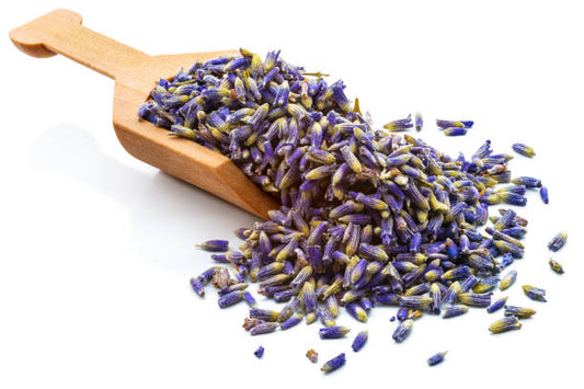 Lavender Uses and Benefits