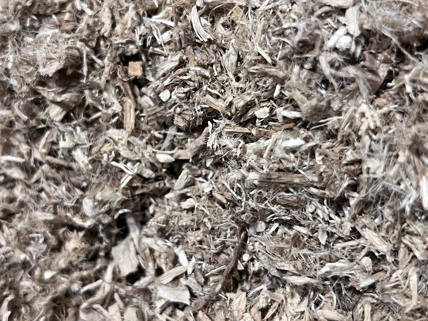 Marshmallow Root