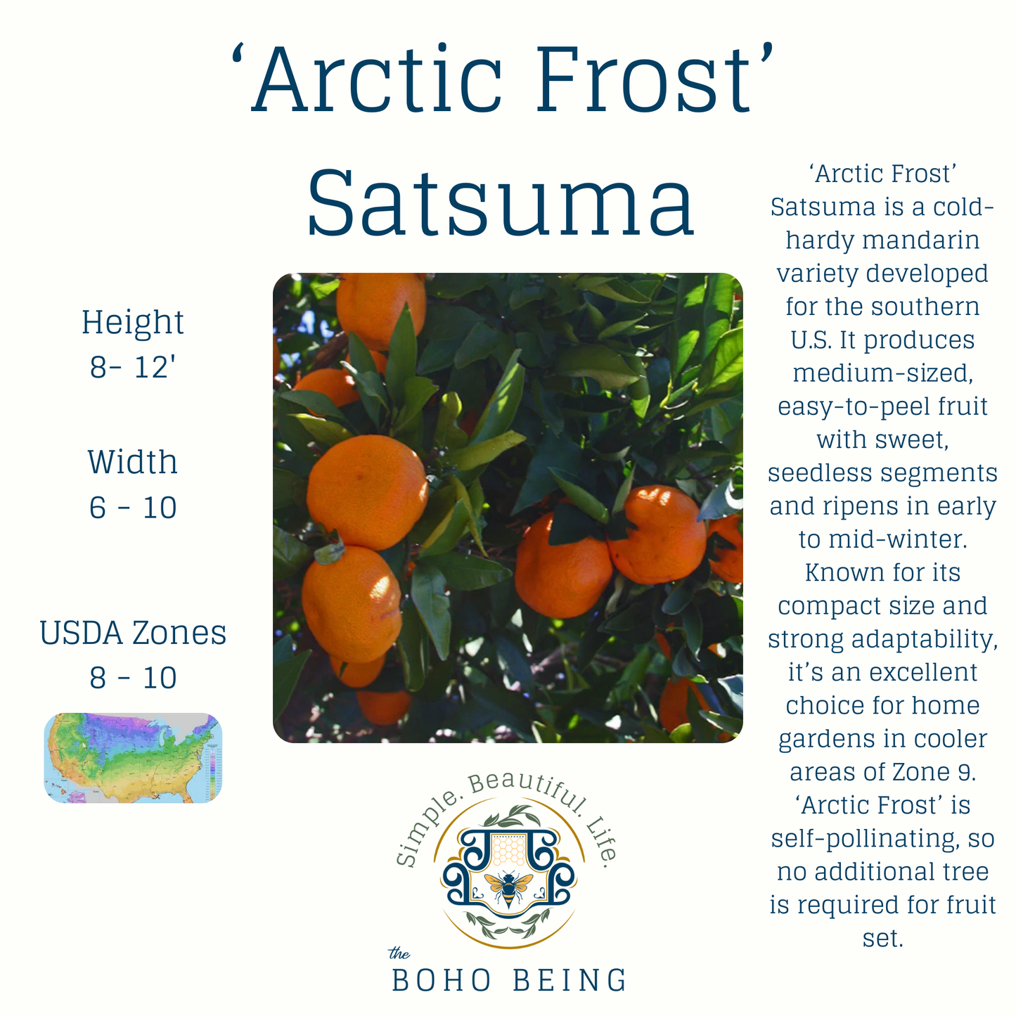 2025 Fall Citrus Tree Pre-Sale - 3 Gallon
