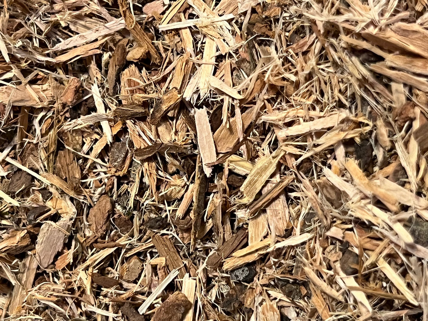 White Willow Bark Dried Herb