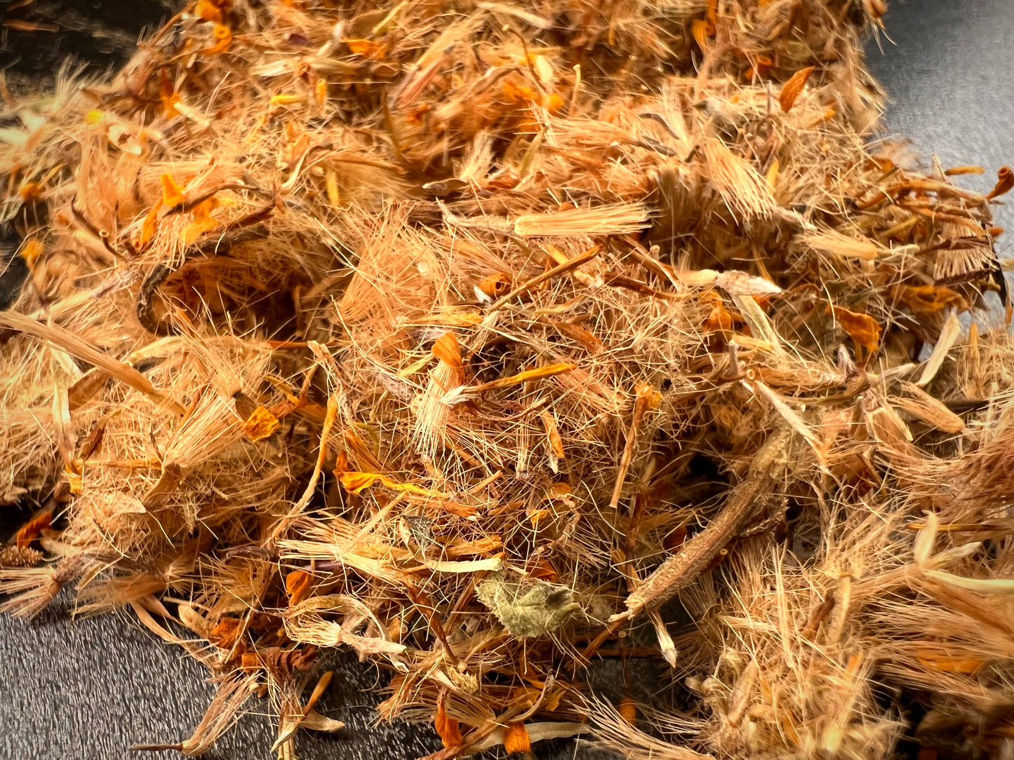 Arnica Dried Herb