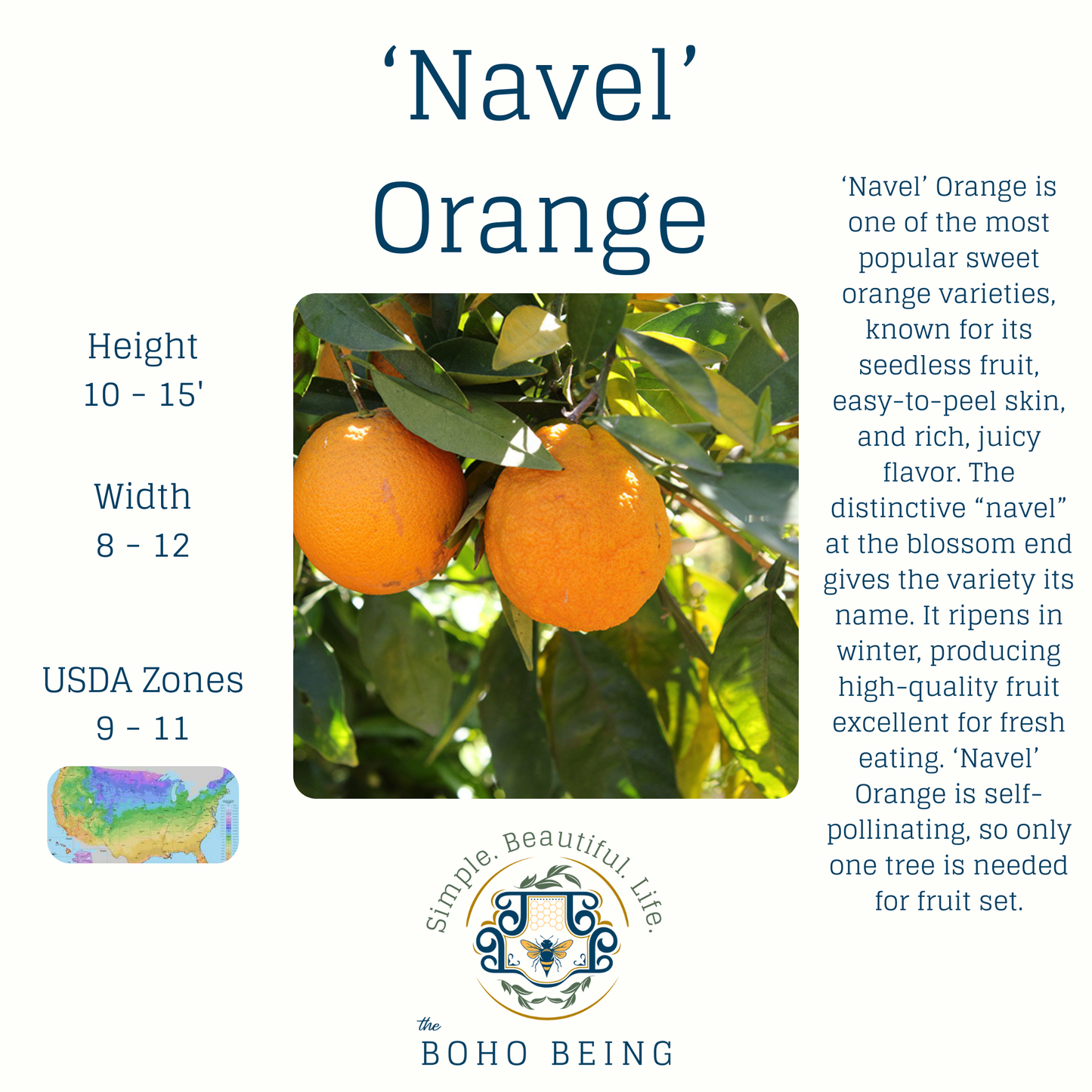 2025 Fall Citrus Tree Pre-Sale - 3 Gallon