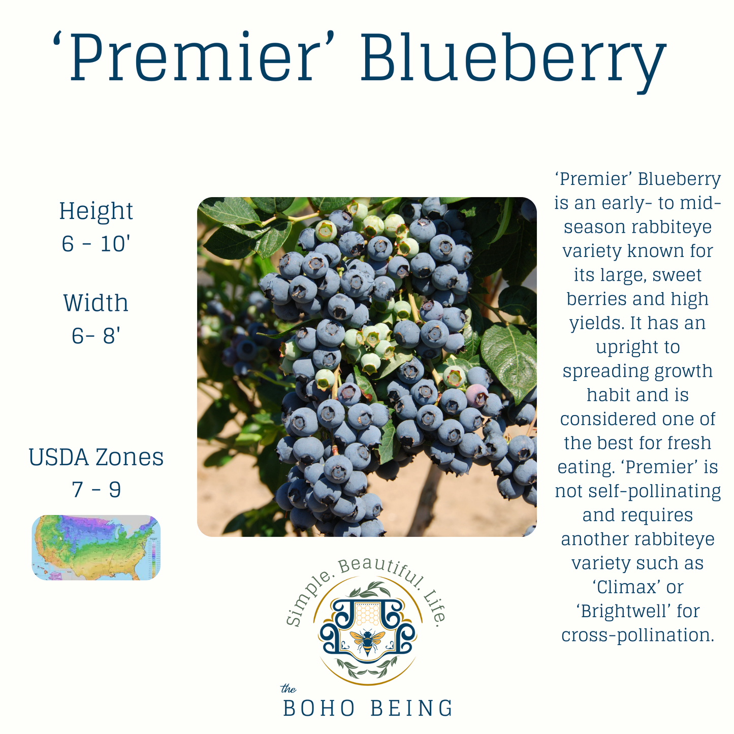 Berries - 2-3 Gallon Containers