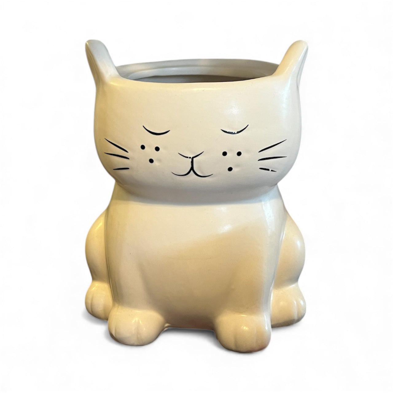 Cat Pot