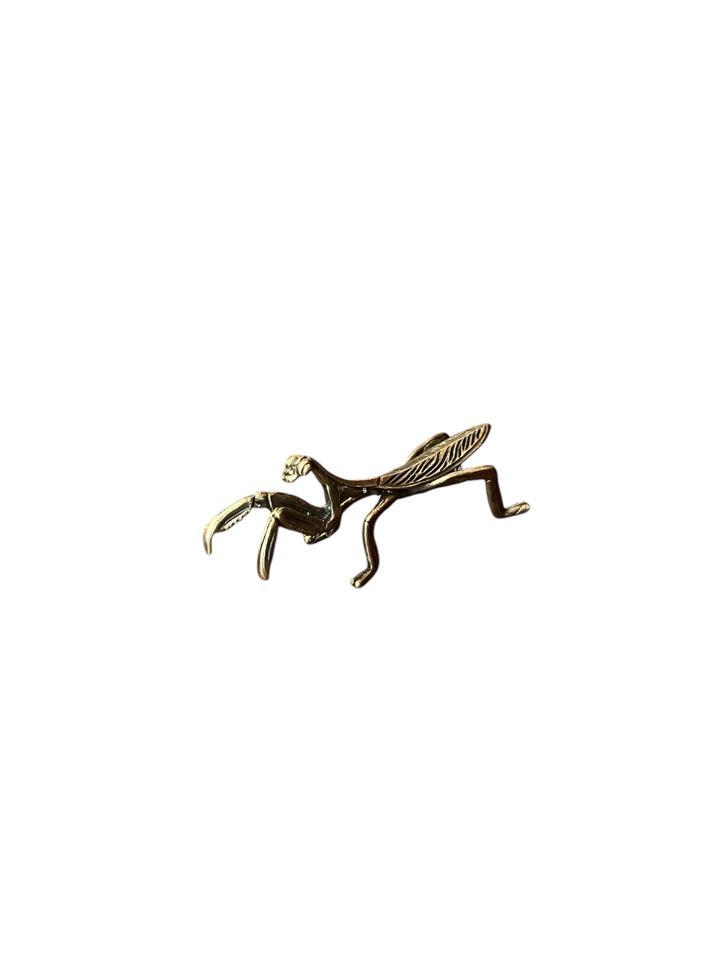 Brass Praying Mantis Tea Buddy