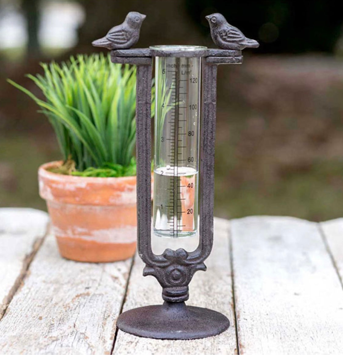 Two Birds Tabletop Rain Gauge