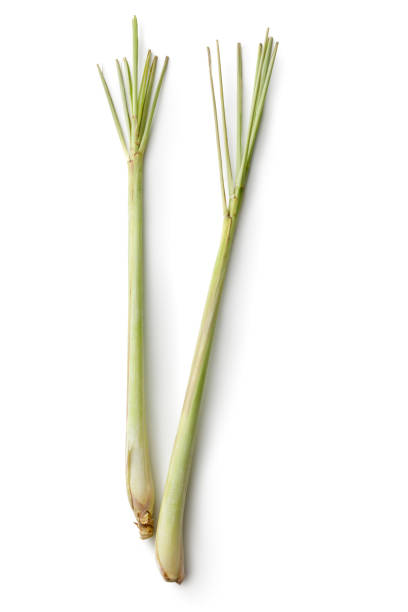 Lemongrass Dried Organic Herb