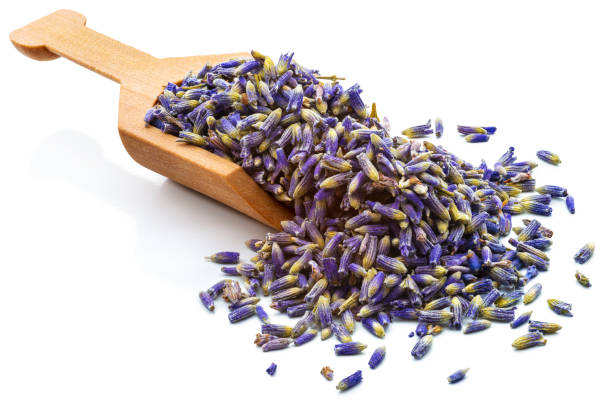 Lavender Flowers Dried Organic Herb