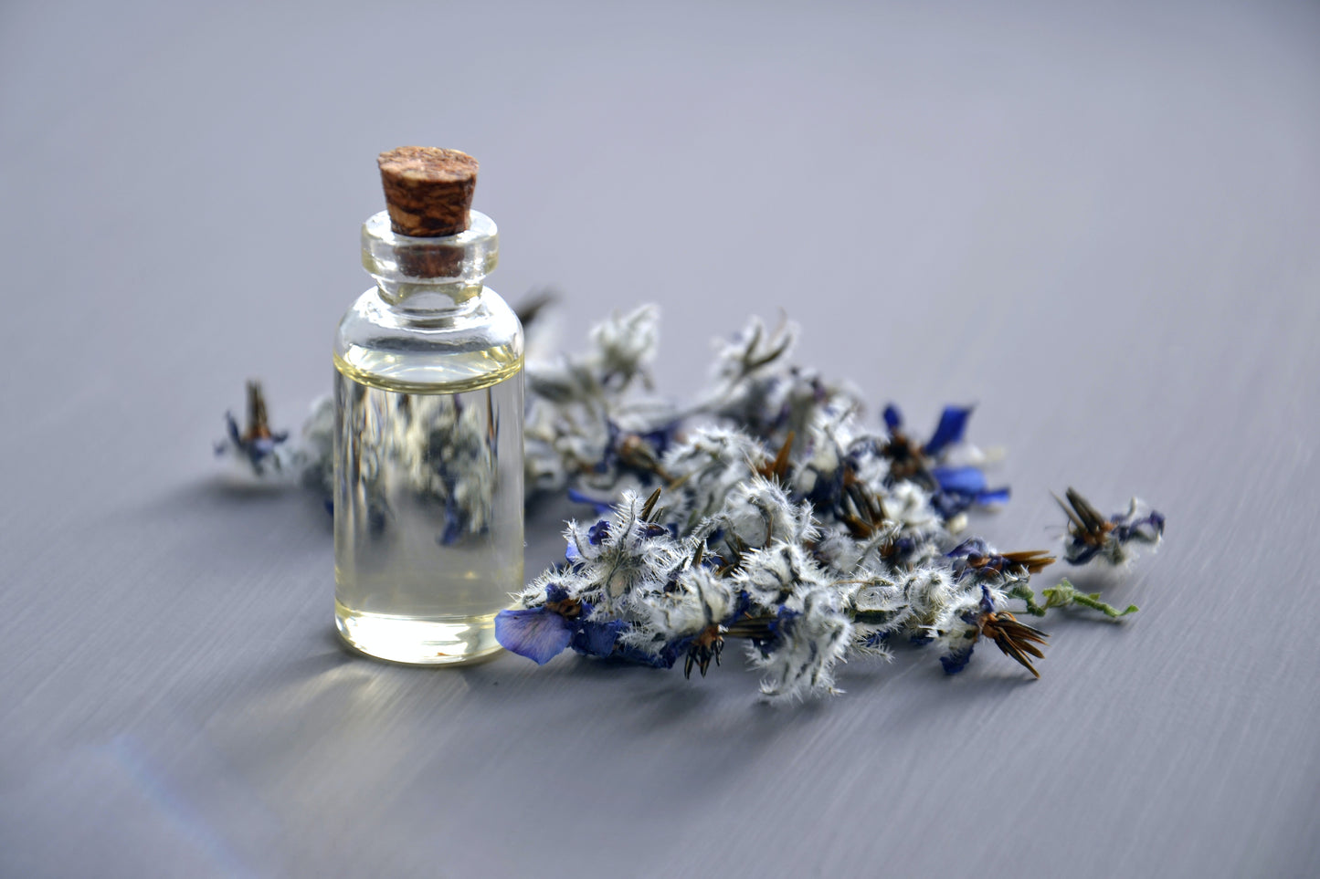 Lavender Flowers Dried Organic Herb