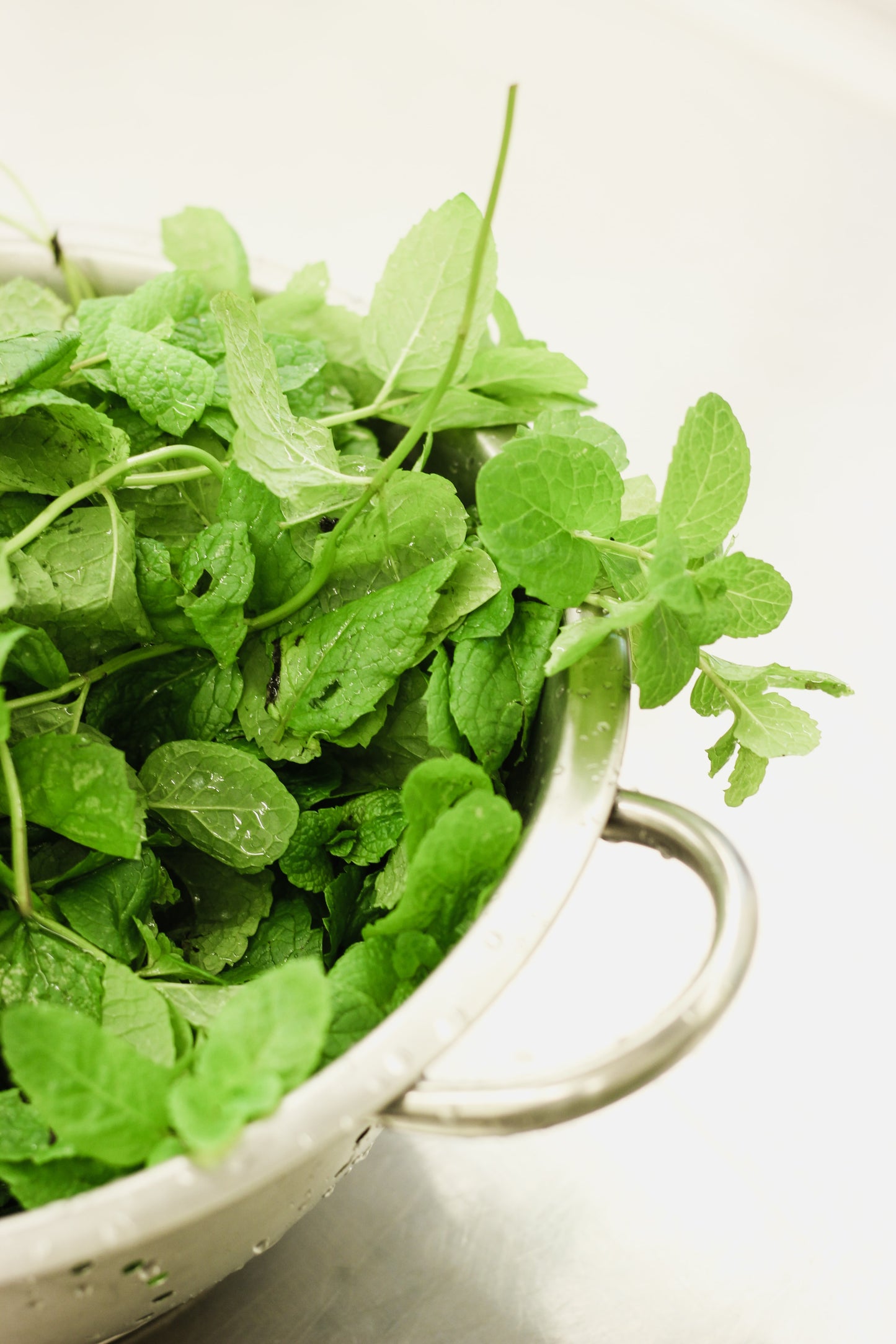 Peppermint Dried Organic Herb