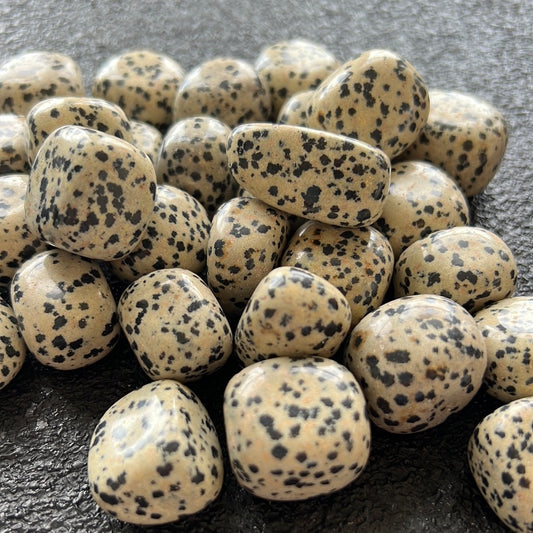 Dalmatian Jasper - Tumbled Natural Stone