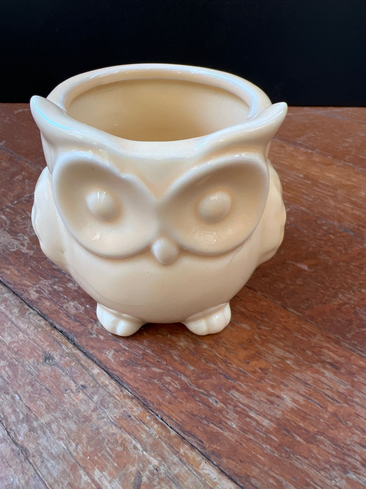 Owl Planter