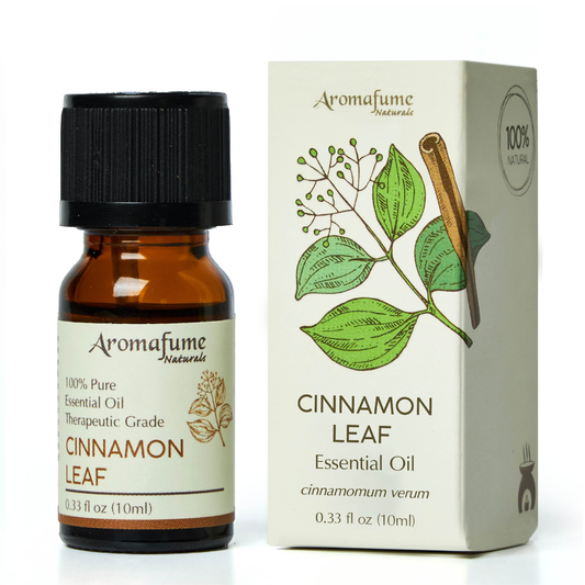 Cinnamon Leaf Essential Oil | 100% Pure Aromatherapy Oil