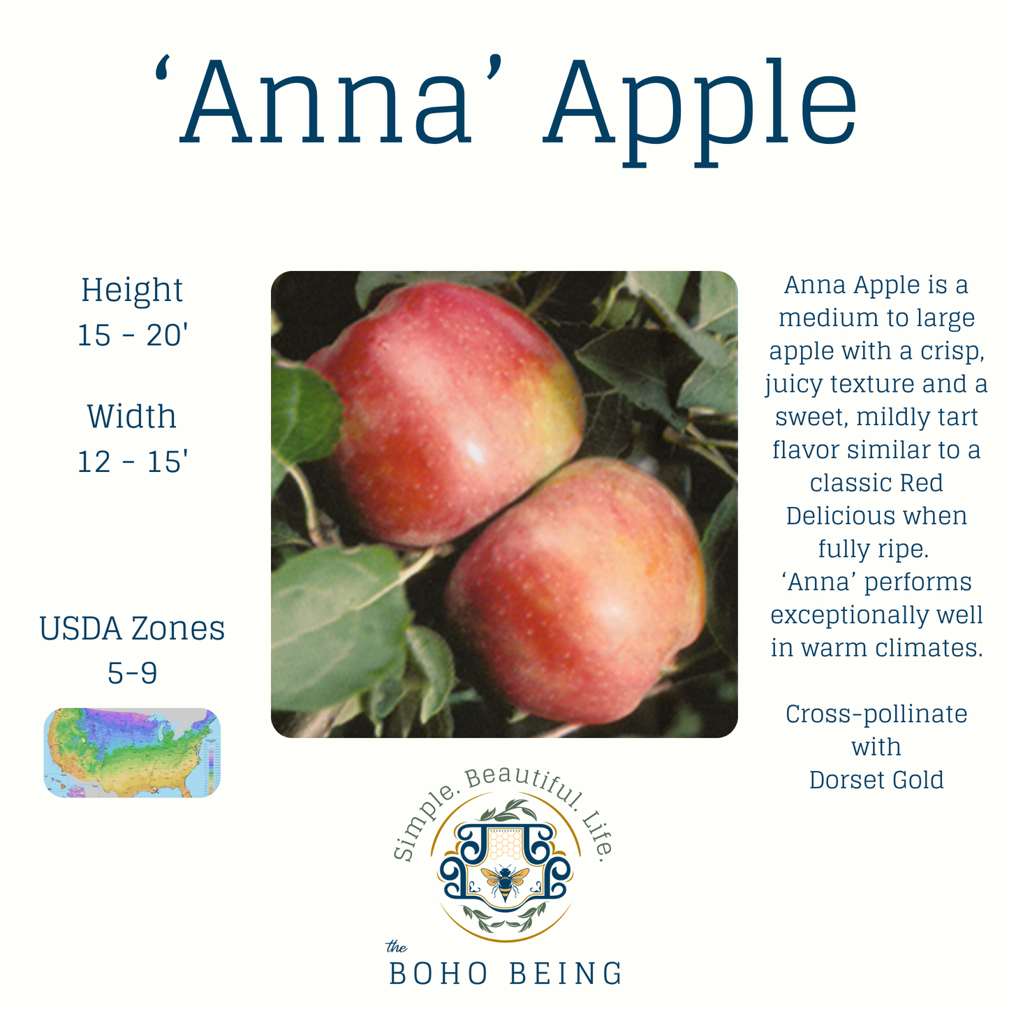 Fruit Trees - 3 Gallon Containers