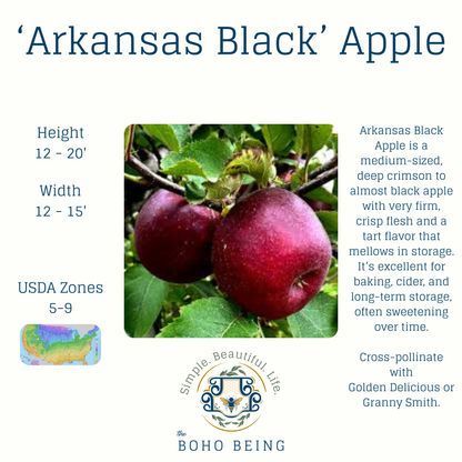 Fruit Trees - 3 Gallon Containers