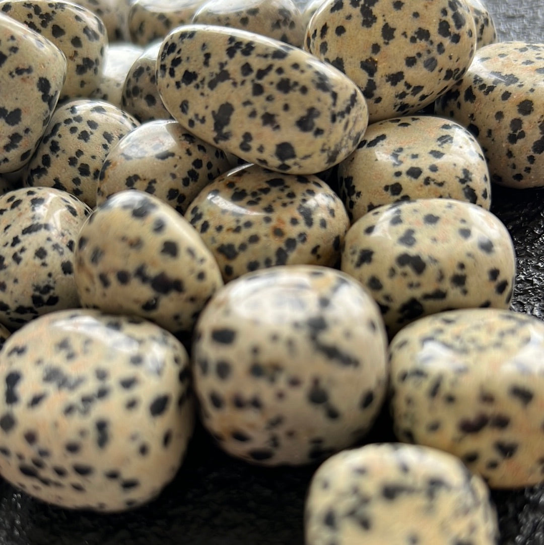 Dalmatian Jasper - Tumbled Natural Stone