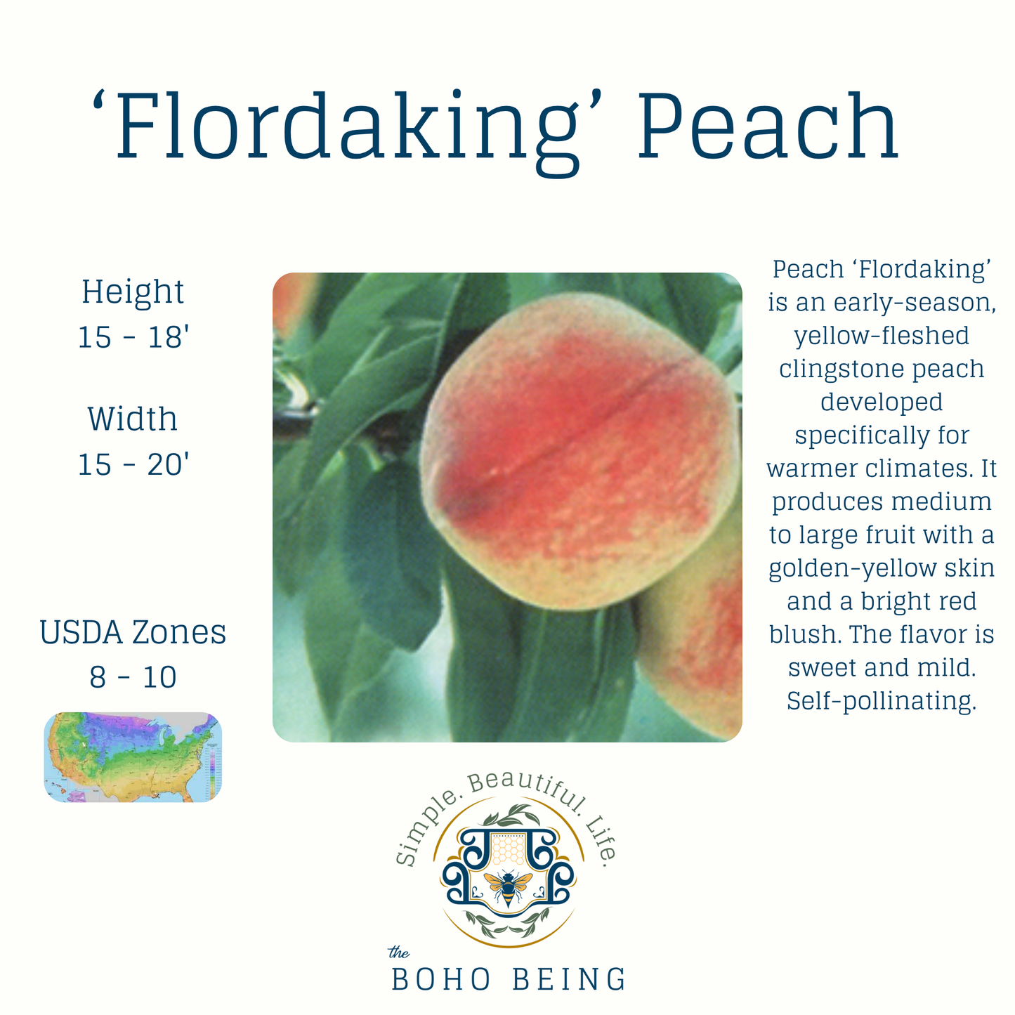 Fruit Trees - 3 Gallon Containers