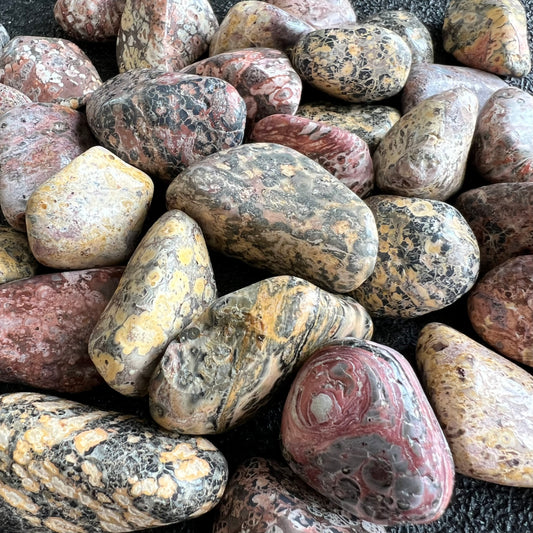Leopard Skin Jasper - Tumbled Natural Stone