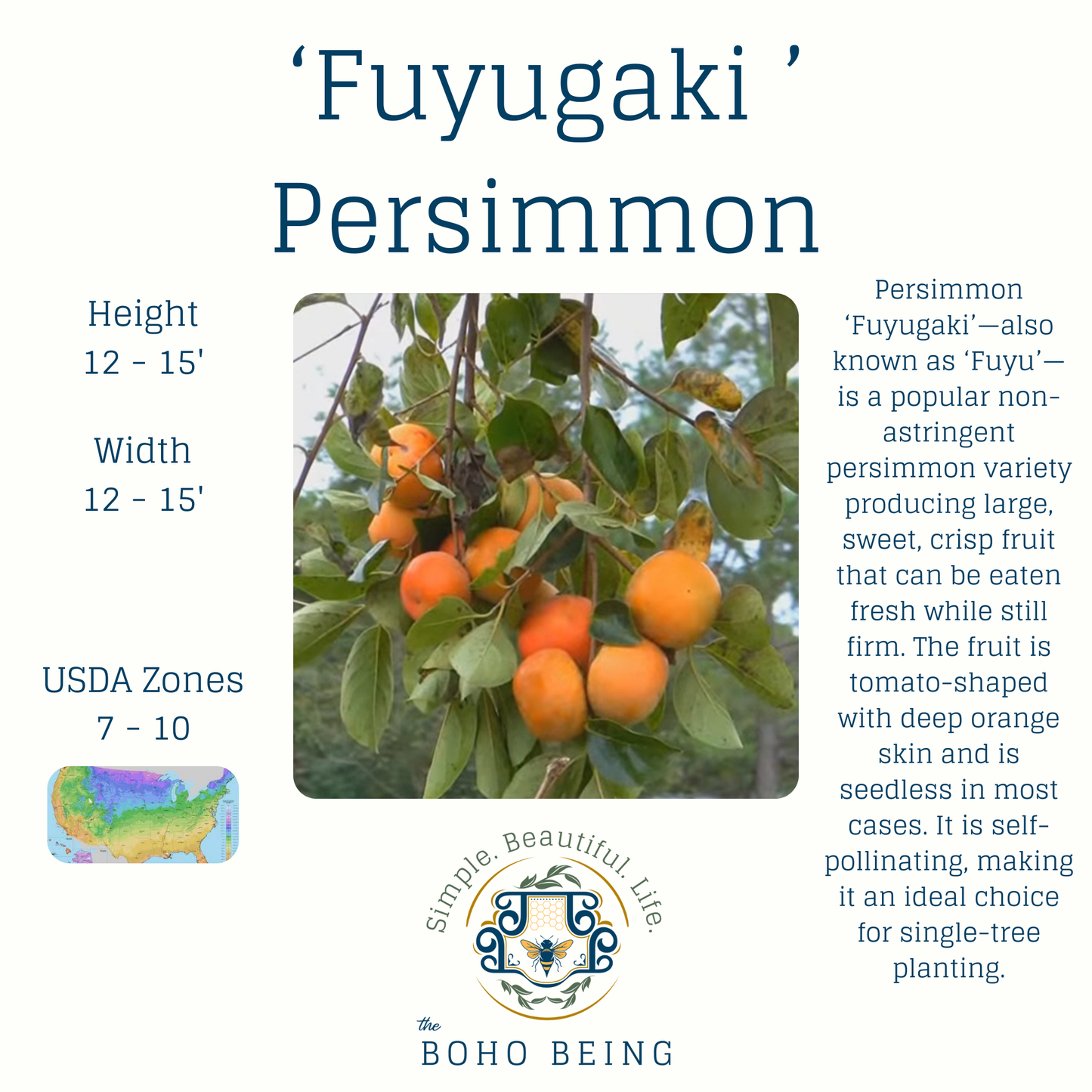 Fruit Trees - 3 Gallon Containers