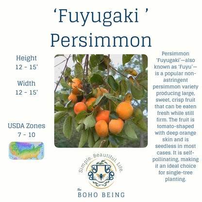 Fruit Trees - 3 Gallon Containers