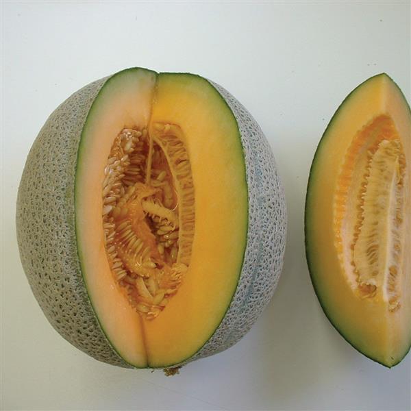 Seeds, Hales Best Jumbo Cantalope