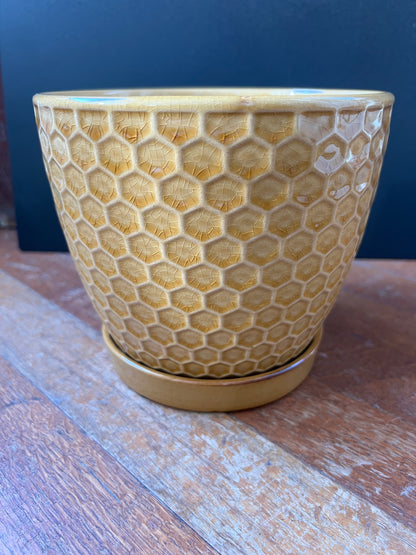 Yellow Honeycomb Pot Planter