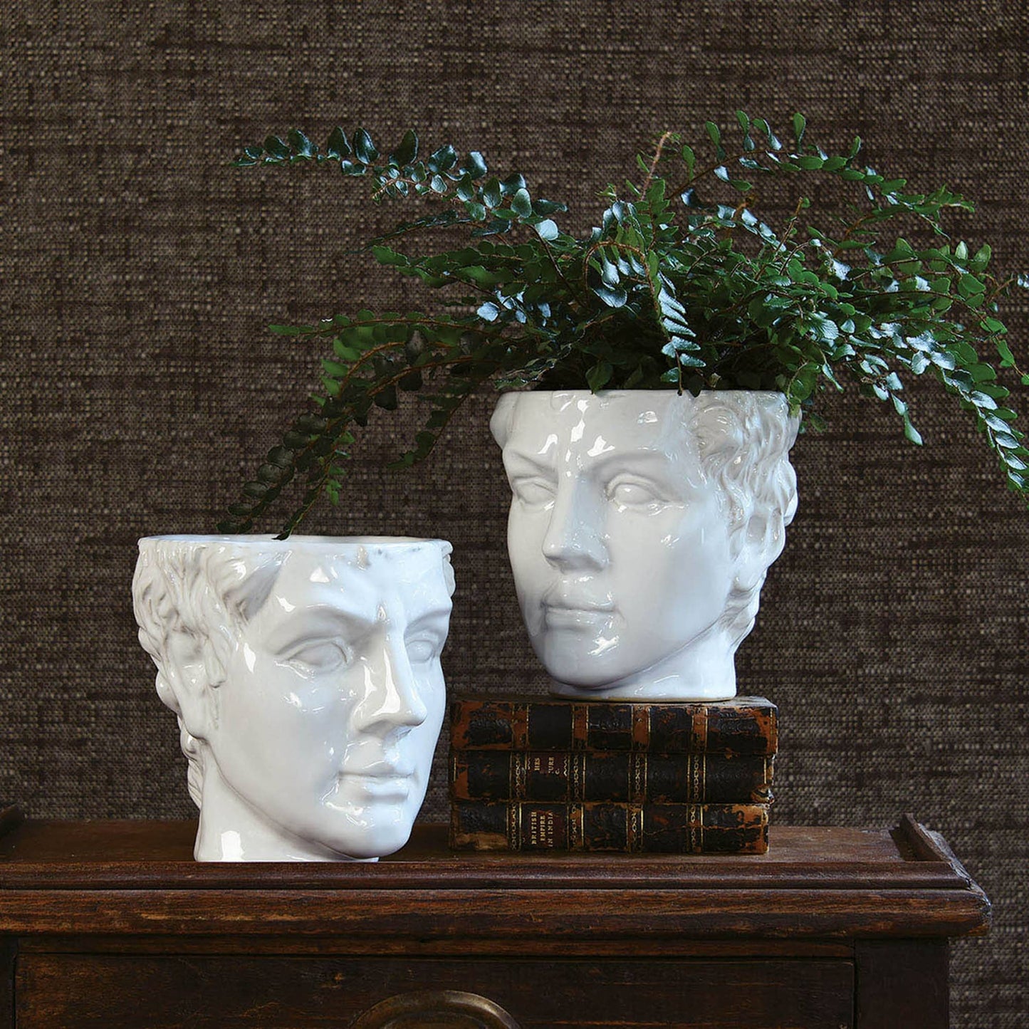 Two white face-shaped planters with green plants on a wooden surface against a textured brown wall.