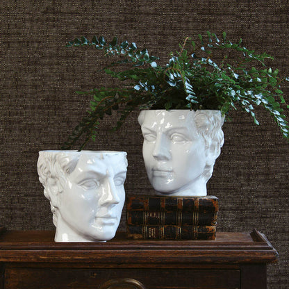Two white face-shaped planters with green plants on a wooden surface against a textured brown wall.