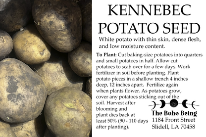 Seeds, Kennebec Potato Seed 3 pounds