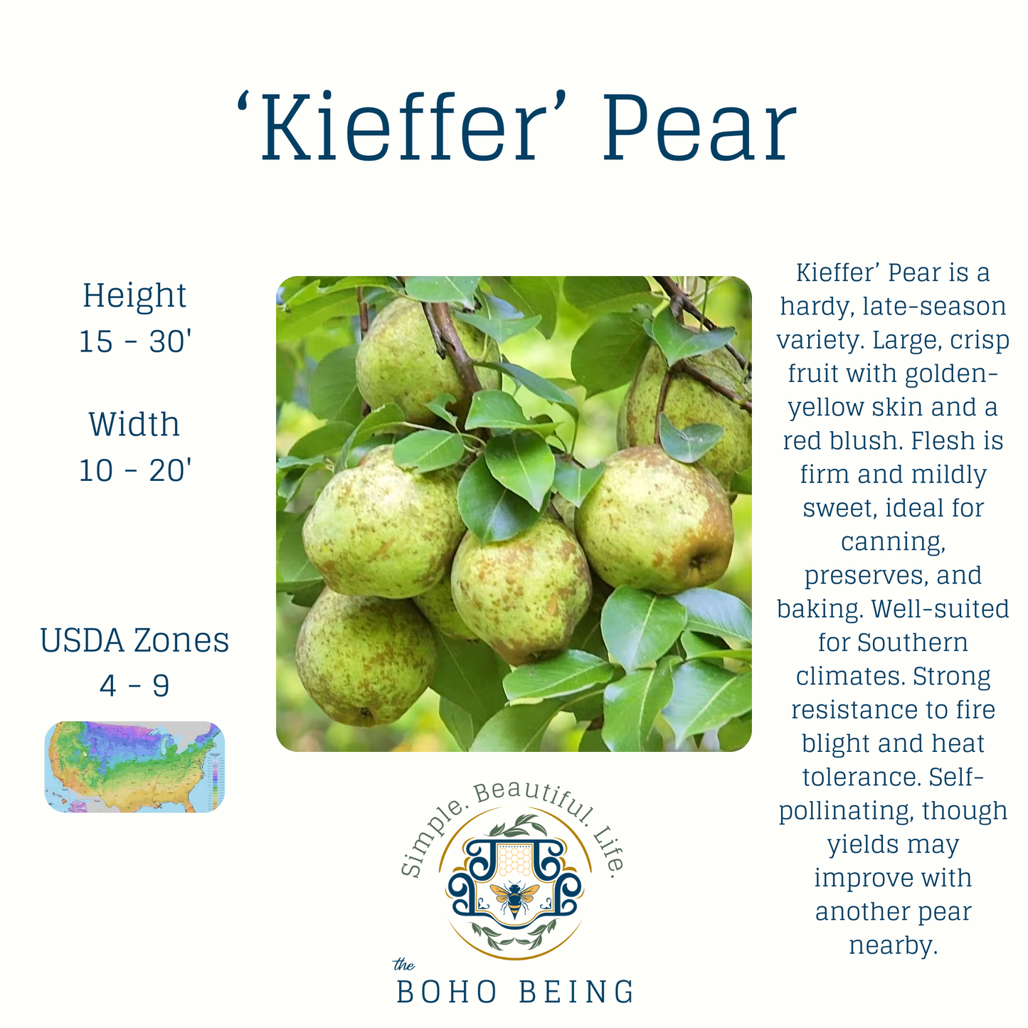 Fruit Trees - 3 Gallon Containers