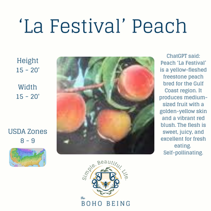 Fruit Trees - 3 Gallon Containers