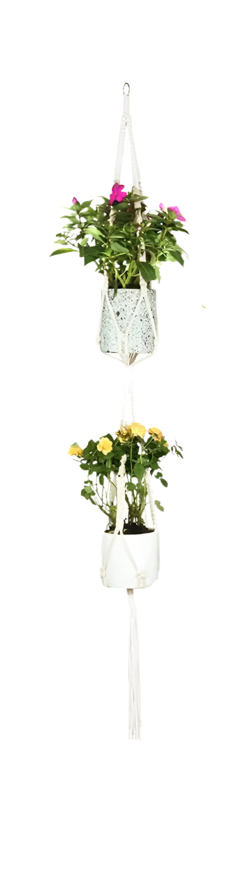 Set of hanging planters with plants on a white background