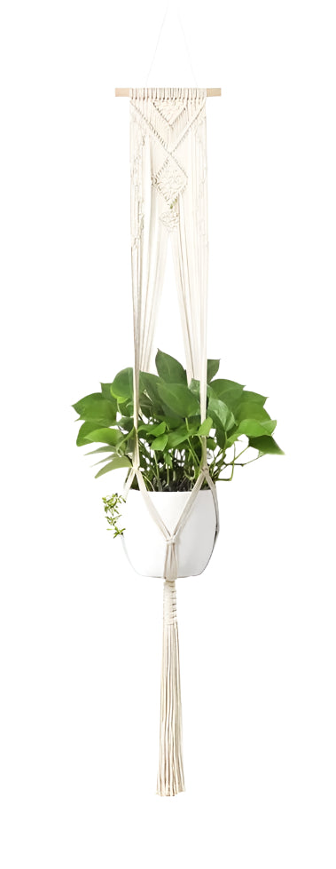Macrame plant hanger with a plant inside, set against a white background.