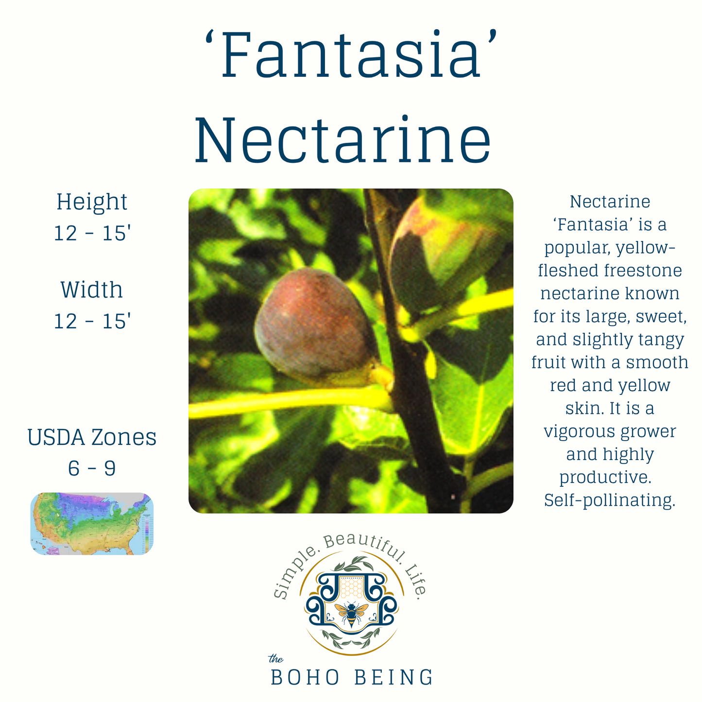 Fruit Trees - 3 Gallon Containers