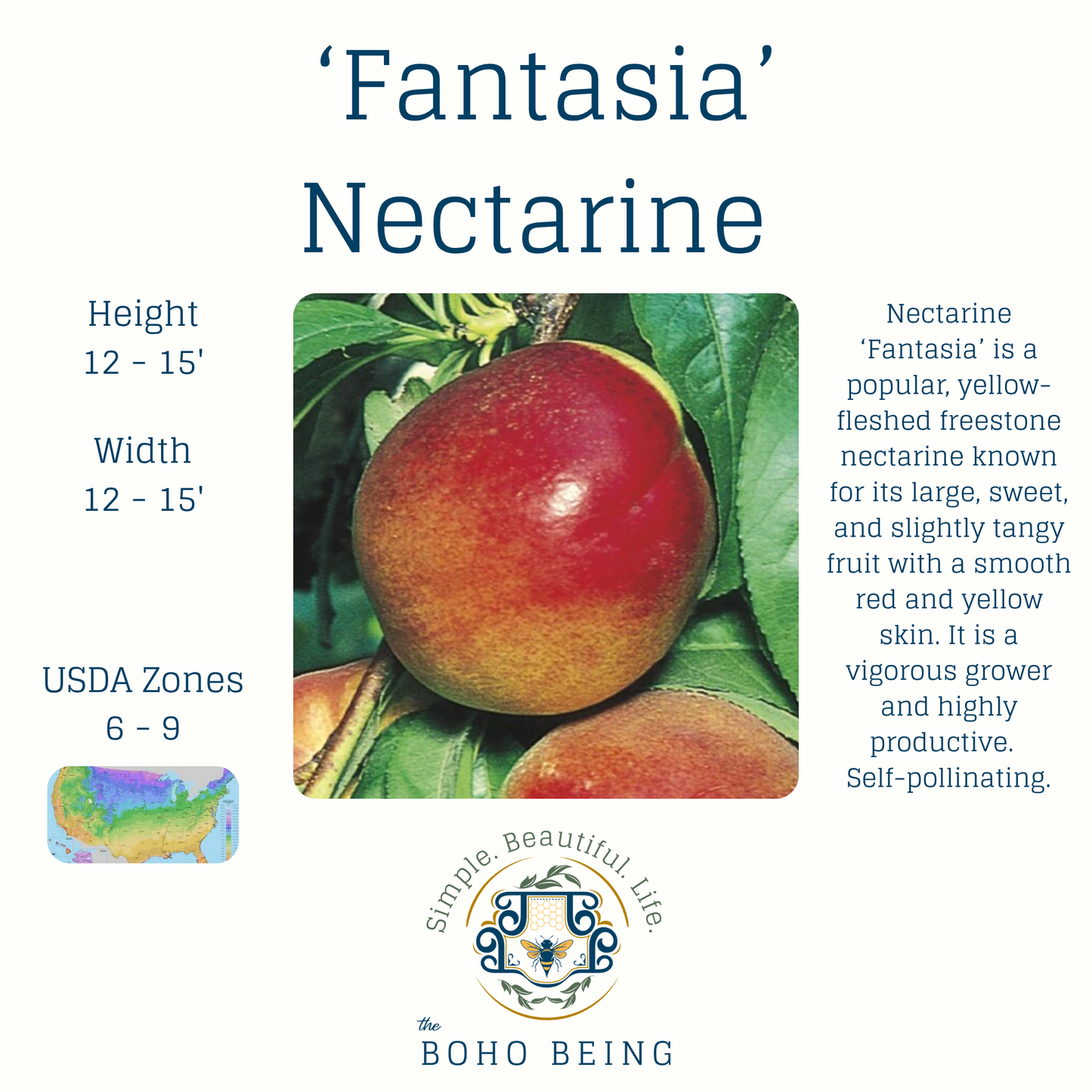 Fruit Trees - 3 Gallon Containers