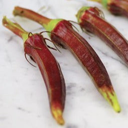 Seeds, Red Burgundy Okra