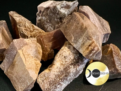 Petrified Wood - Raw Natural Stone