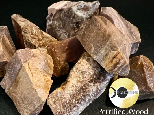 Petrified Wood - Raw Natural Stone