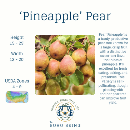 Fruit Trees - 3 Gallon Containers