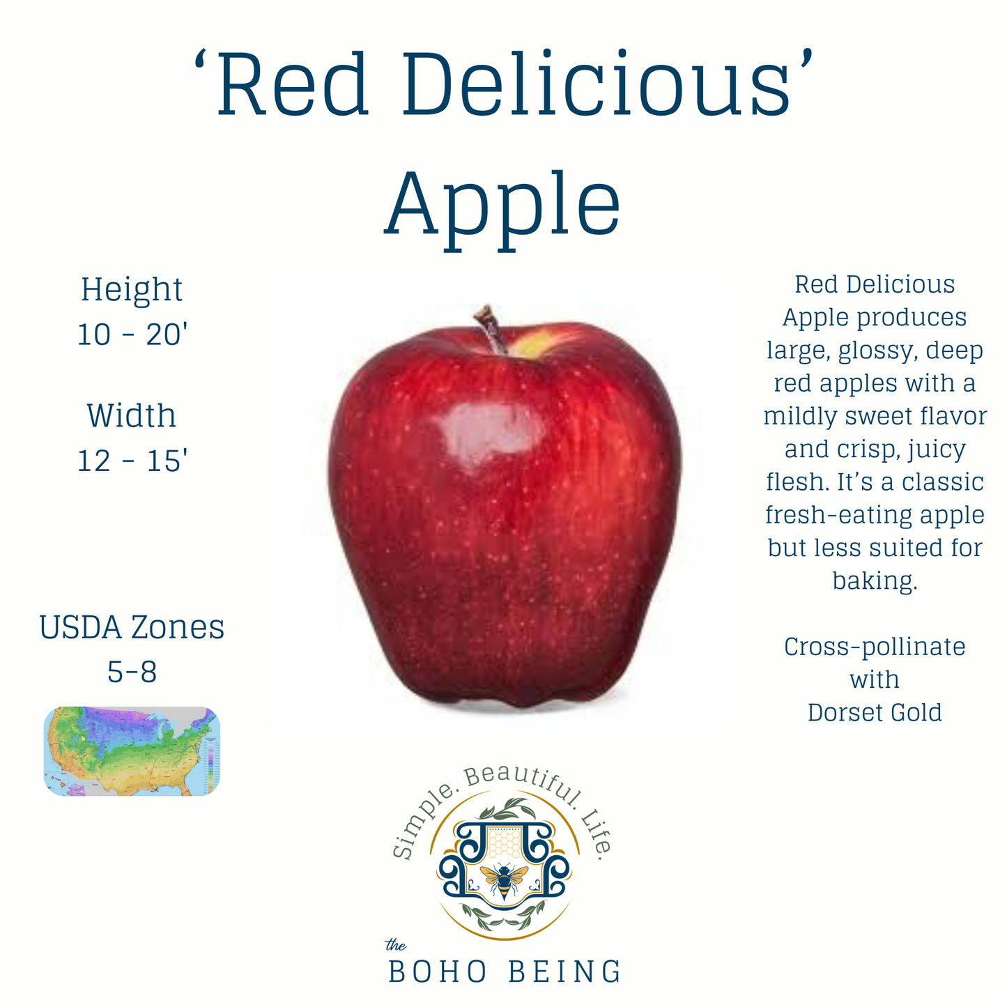 Fruit Trees - 3 Gallon Containers