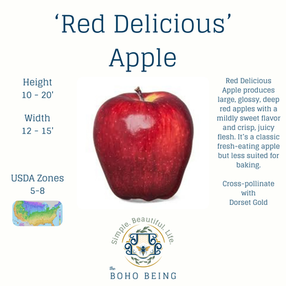 Fruit Trees - 3 Gallon Containers