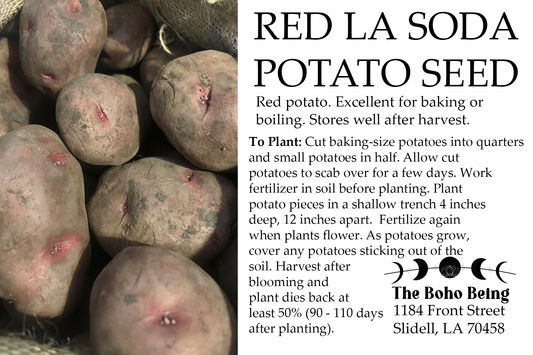 Seeds, Red LaSota Potato Seed 5 pounds