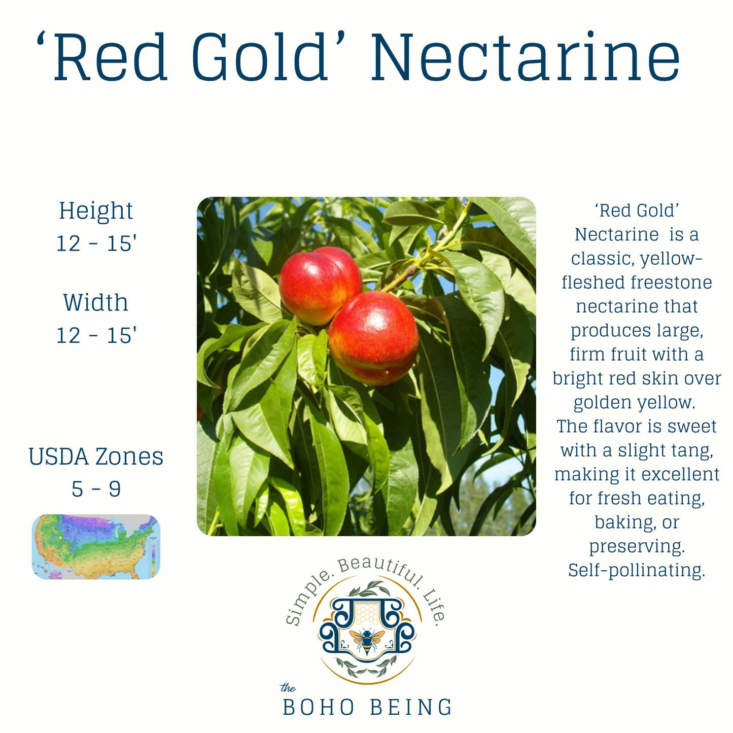 Fruit Trees - 3 Gallon Containers