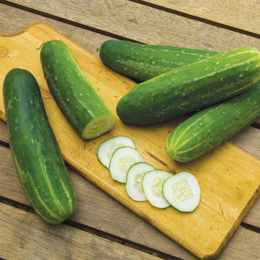 Cucumber Slicing Straight Eight Seeds