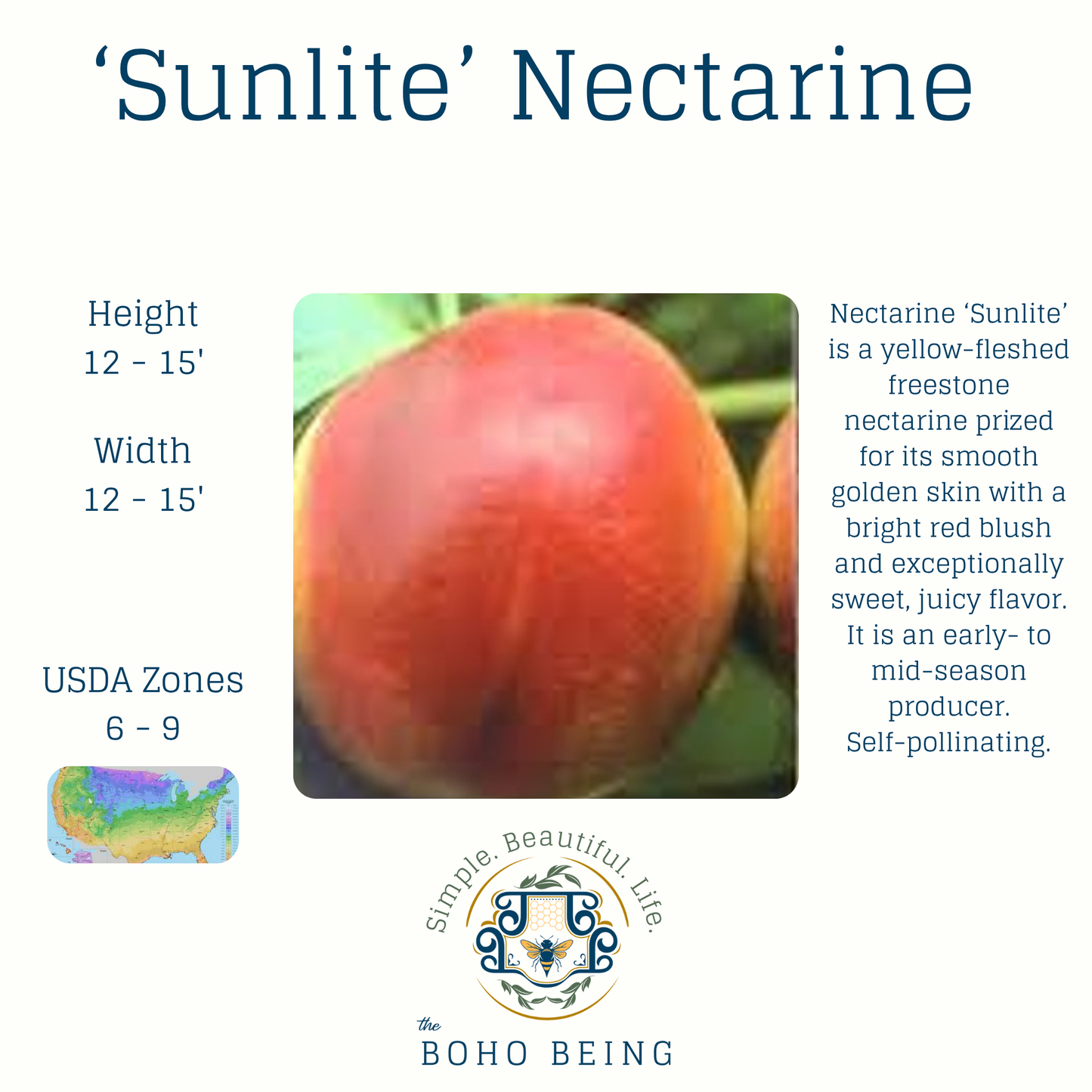 Fruit Trees - 3 Gallon Containers