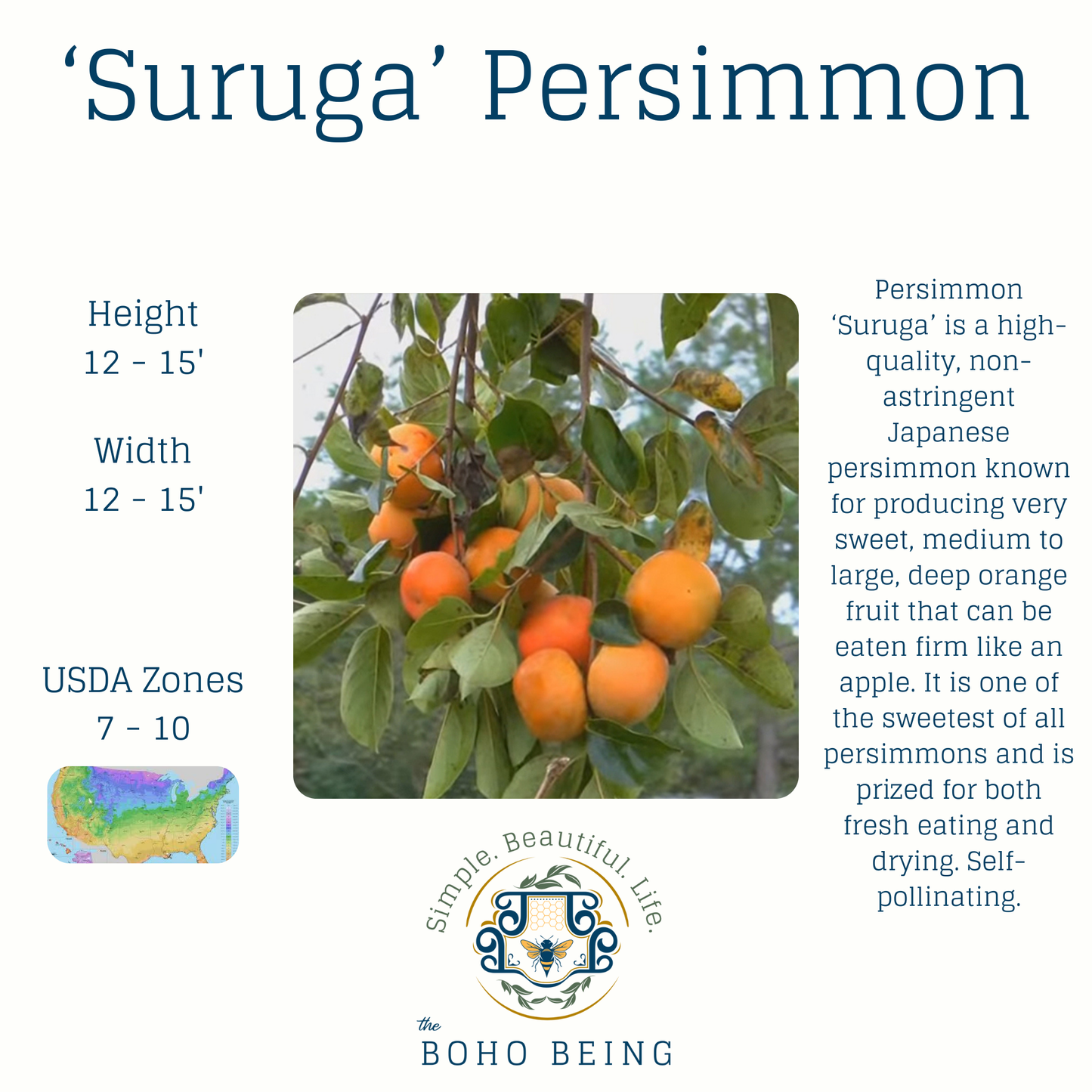 Fruit Trees - 3 Gallon Containers