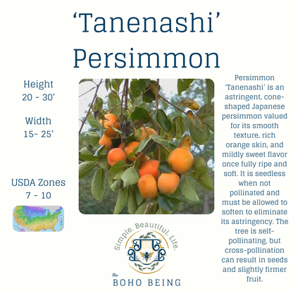 Fruit Trees - 3 Gallon Containers