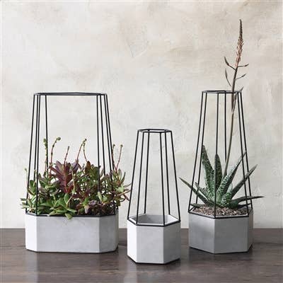 Indio Planter - Wide - Cement